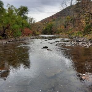 Meet your Posher, Dick